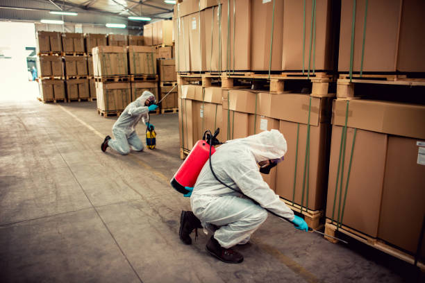 Reliable Canton, MO Pest Control Solutions
