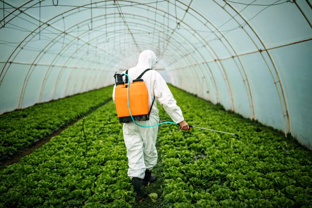 Best Mosquito Control Services  in Canton, MO