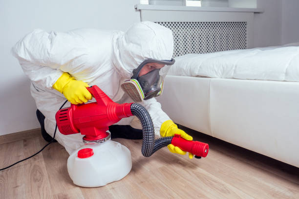 Wasp Removal Services in Canton, MO