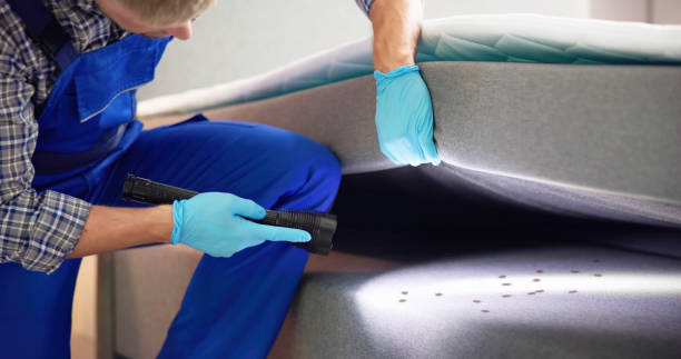 Best Pest Control for Homes  in Canton, MO