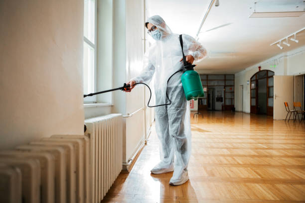 Best Pest Inspection Near Me  in Canton, MO