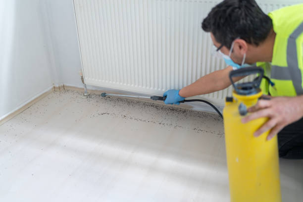 Best Ant Control Services  in Canton, MO